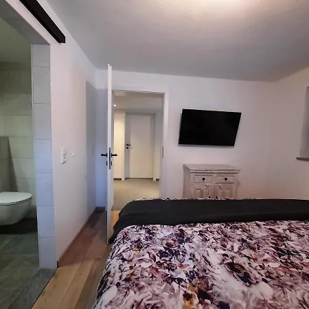 Haus Fien Apartment *