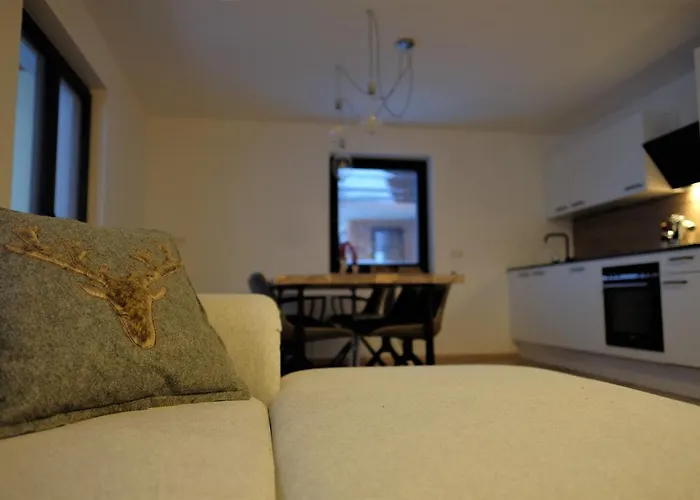 Haus Fien Apartament